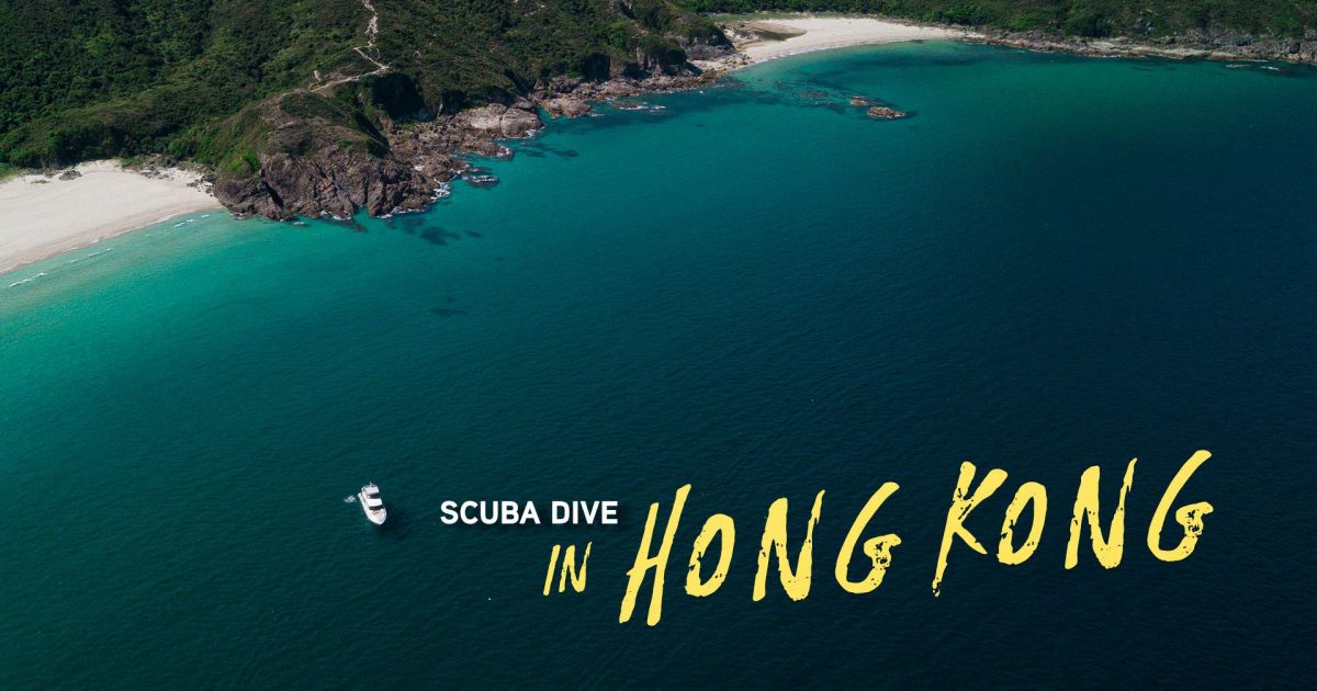 Hong Kong Scuba Diving Where and When to Go? Oceanic Worldwide
