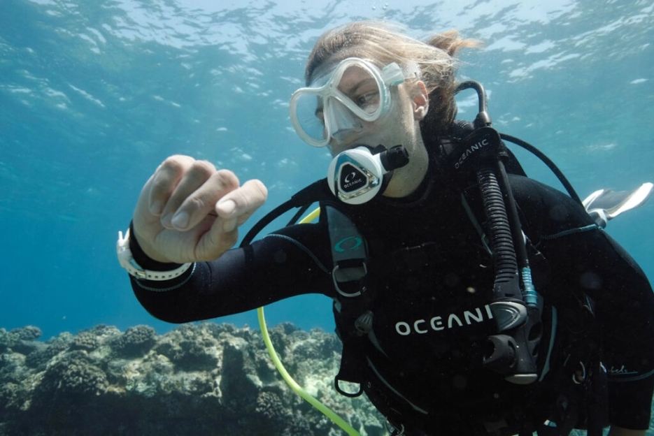 Oceanic Scuba Diving Equipment Oceanic Worldwide